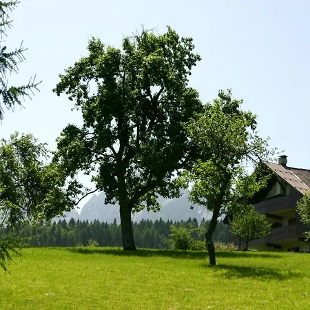 Casatarvisio Ct1 Apartament
